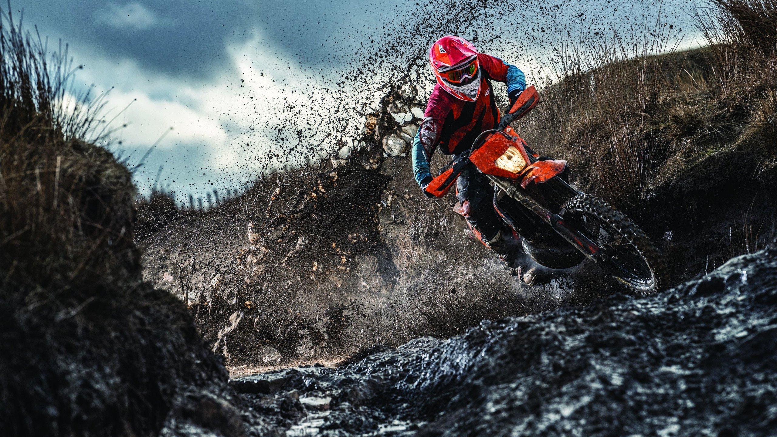 弗朗索瓦·霍尔茨豪伊泽：南非队的强力半场背后，推动战术实施