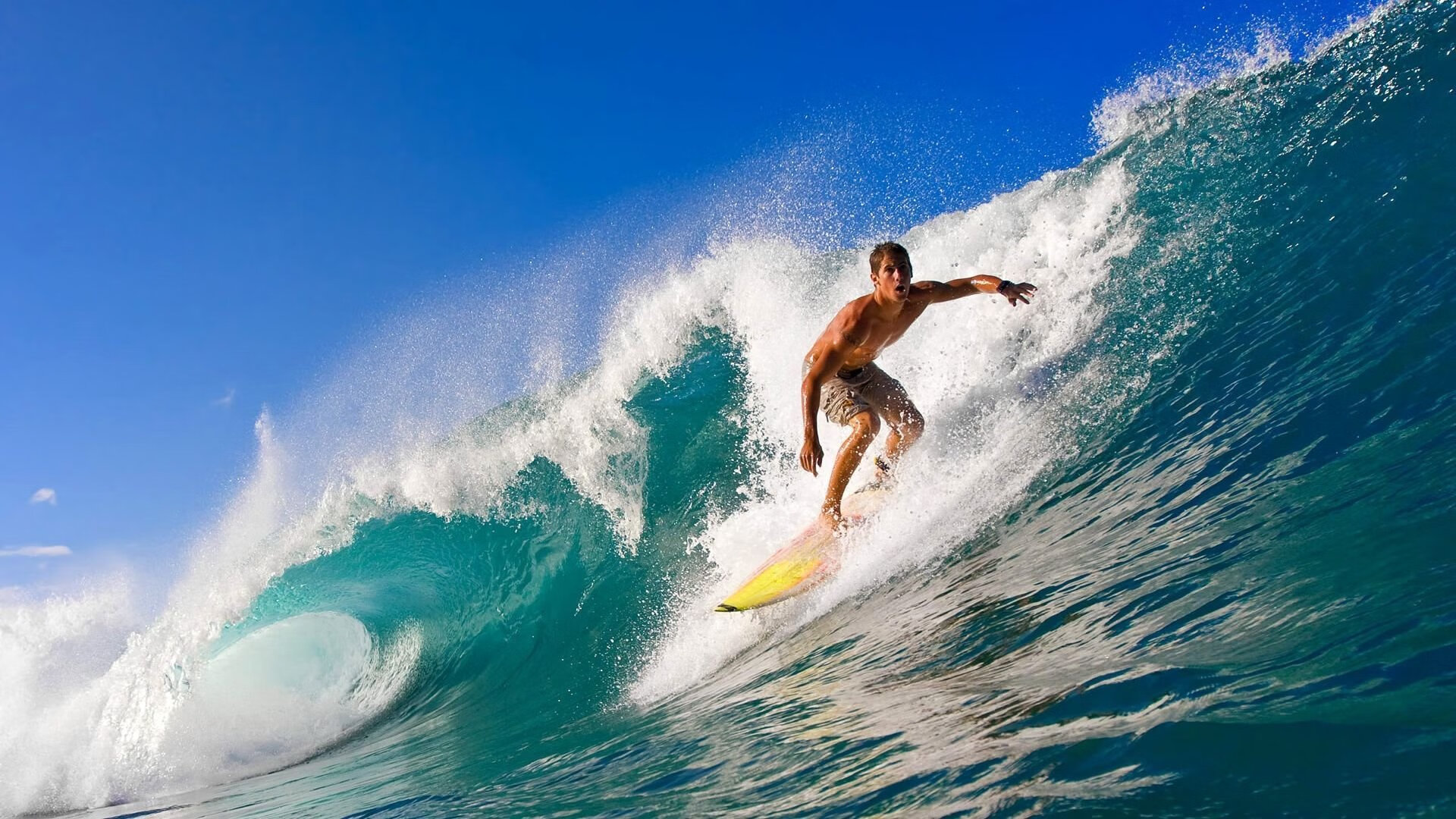 弗朗索瓦·霍尔茨豪伊泽：南非队的强力半场背后，推动战术实施